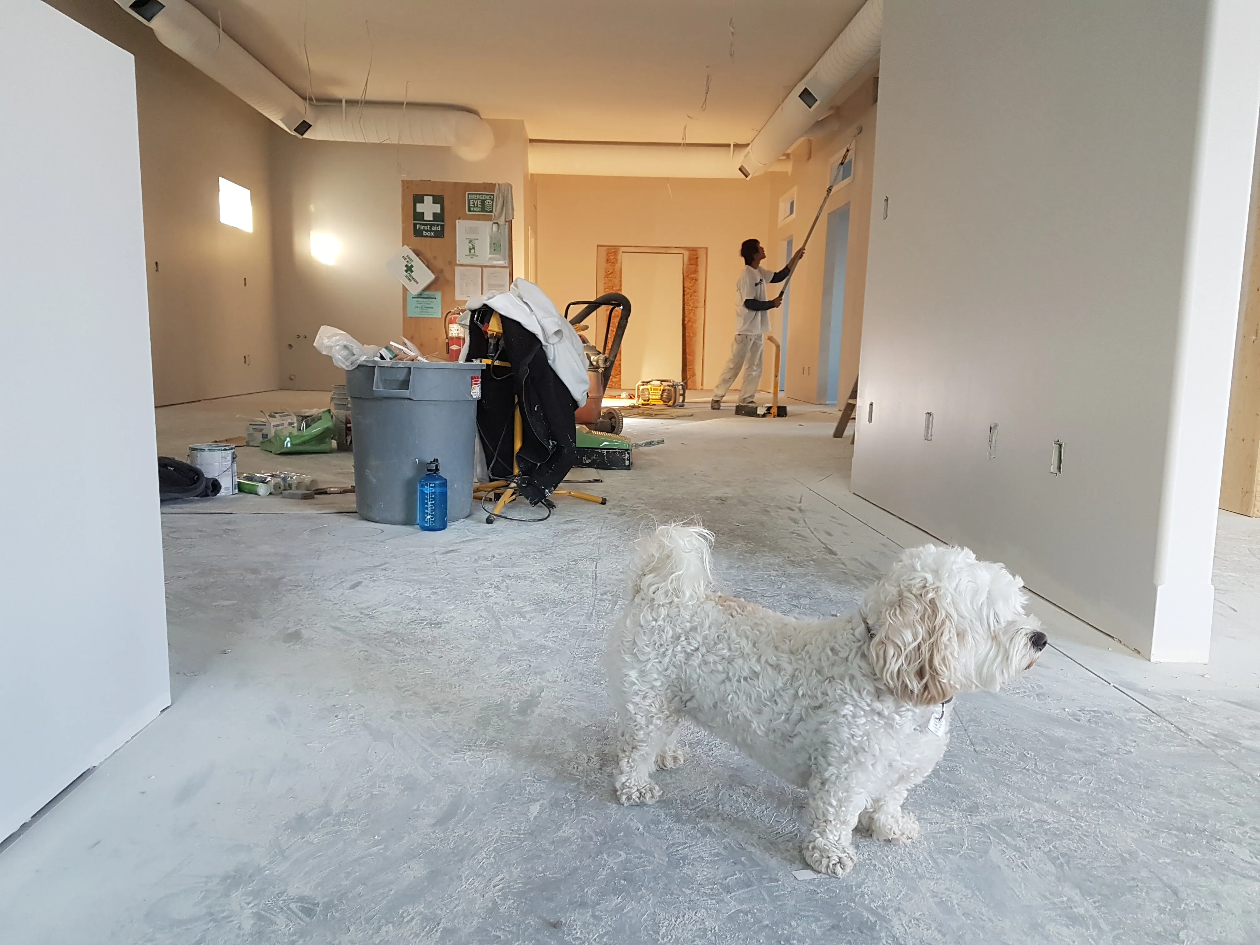 Curățenie după constructor în spații renovate